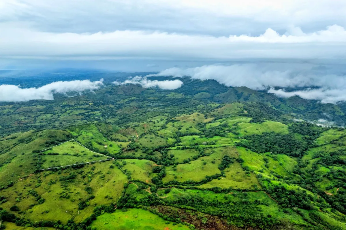 7 Ha Farm in Las Tablas Los Santos Panama