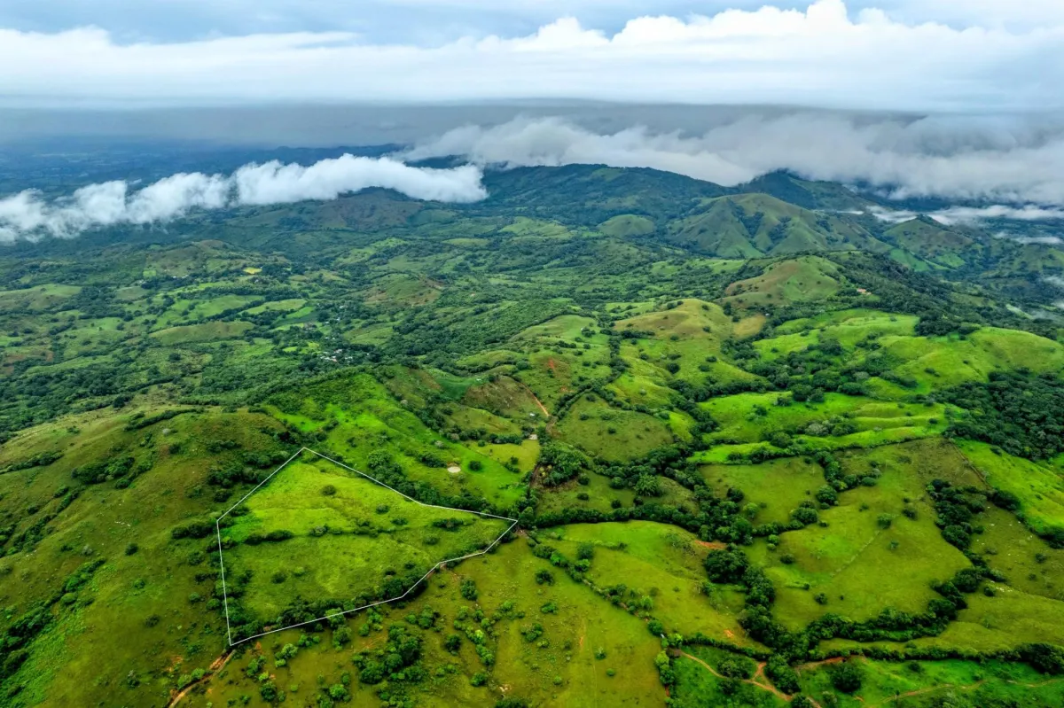 7 Ha Farm in Las Tablas Los Santos Panama
