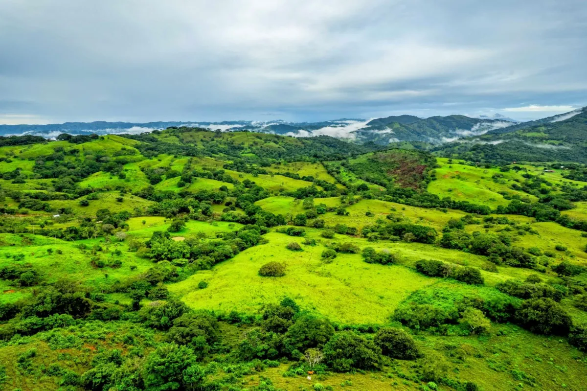 7 Ha Farm in Las Tablas Los Santos Panama