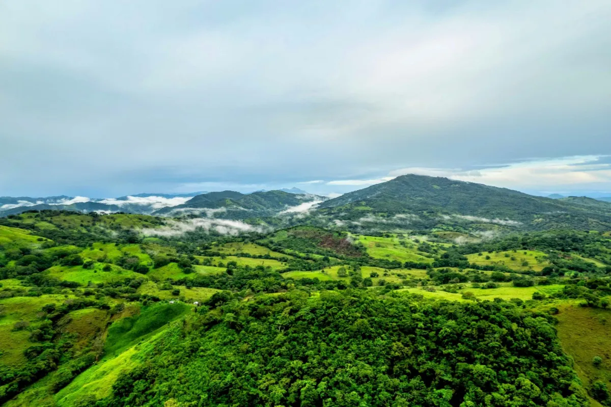 7 Ha Farm in Las Tablas Los Santos Panama