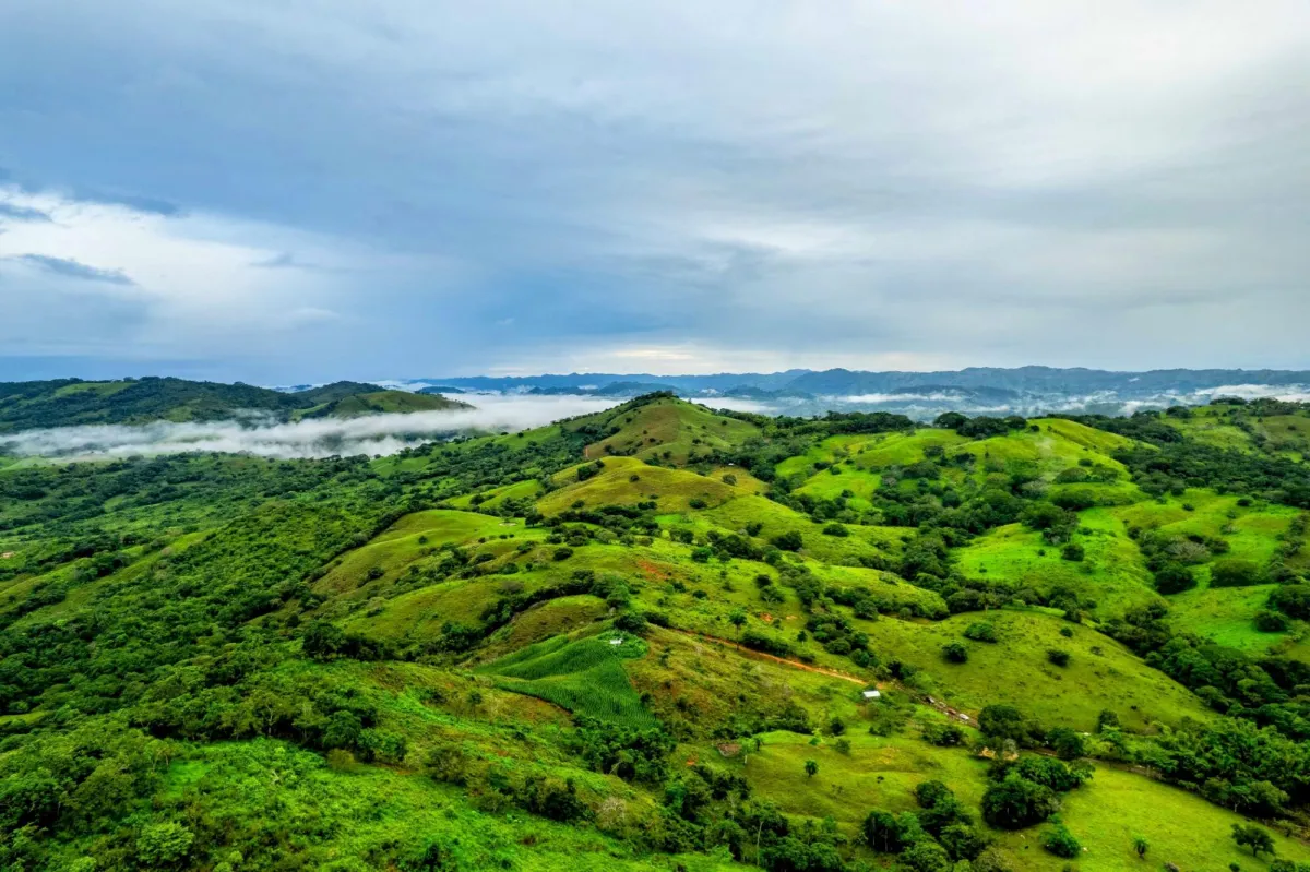 7 Ha Farm in Las Tablas Los Santos Panama