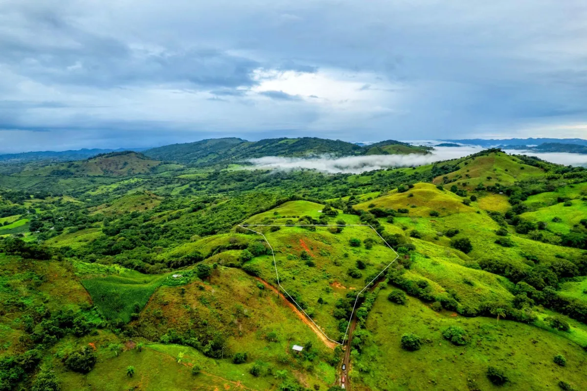 7 Ha Farm in Las Tablas Los Santos Panama