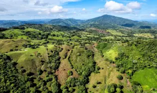 29 Ha Farm in Palmira Las Tablas Los Santos Panama