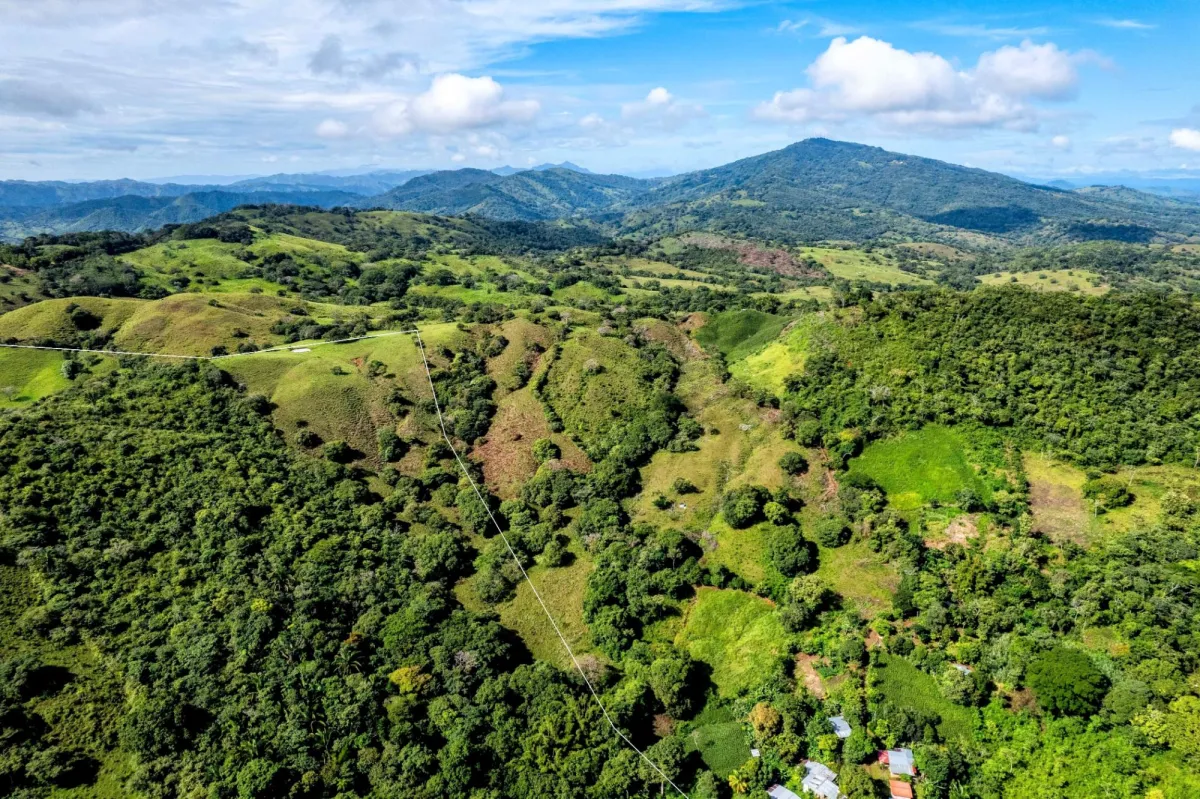 29 Ha Farm in Palmira Las Tablas Los Santos Panama
