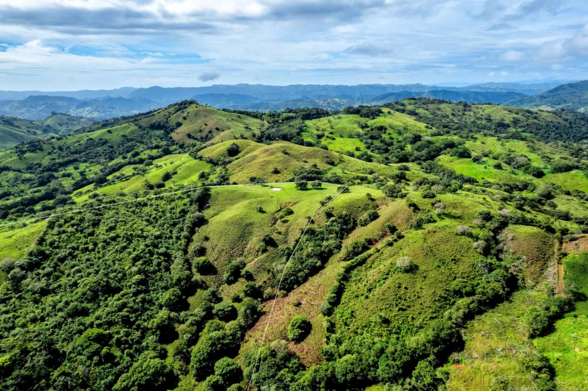 29 Ha Farm in Palmira Las Tablas Los Santos Panama