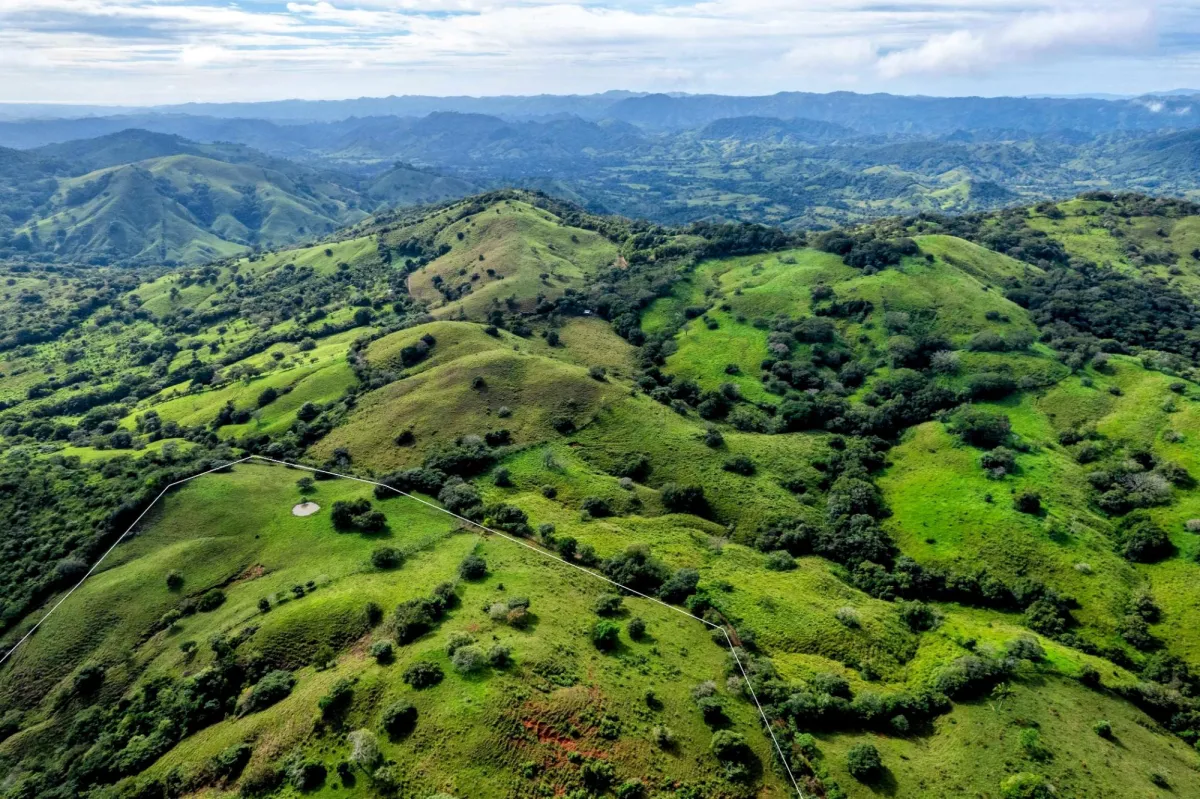 29 Ha Farm in Palmira Las Tablas Los Santos Panama