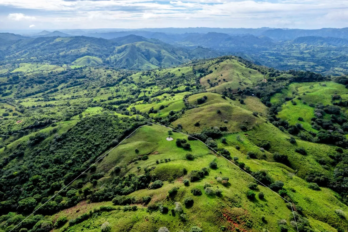 29 Ha Farm in Palmira Las Tablas Los Santos Panama