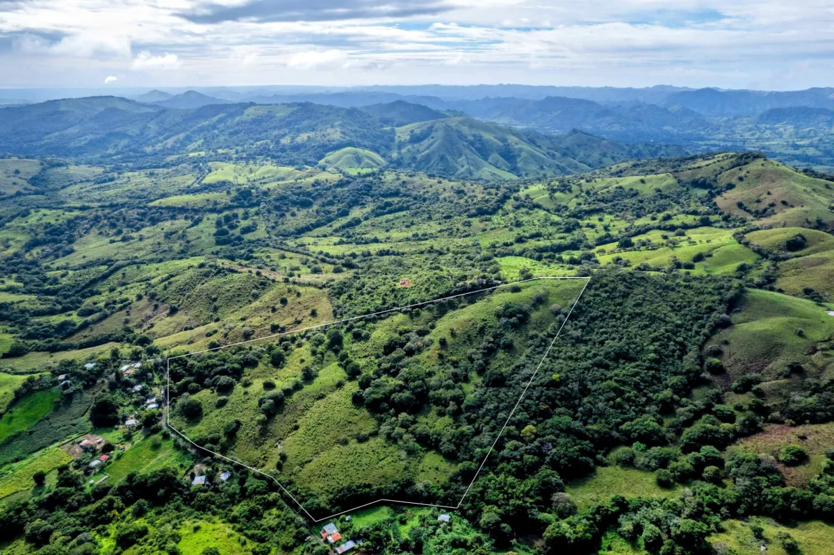 29 Ha Farm in Palmira Las Tablas Los Santos Panama