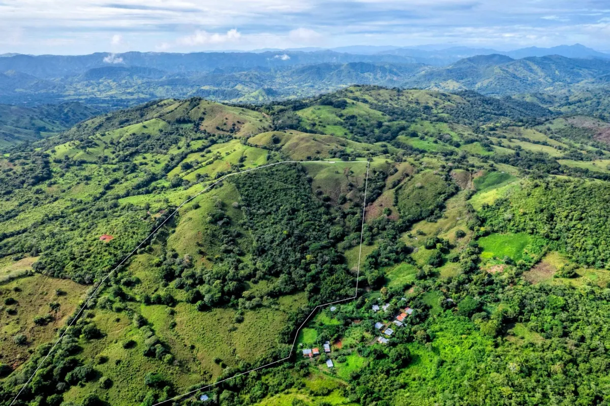 29 Ha Farm in Palmira Las Tablas Los Santos Panama