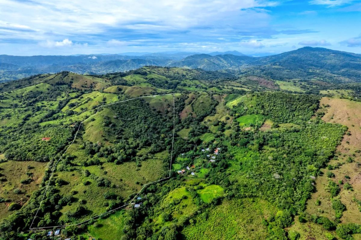 29 Ha Farm in Palmira Las Tablas Los Santos Panama