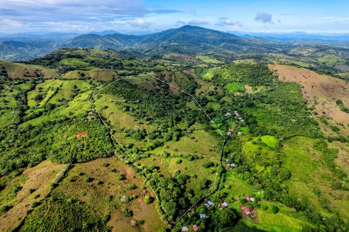 29 Ha Farm in Palmira Las Tablas Los Santos Panama