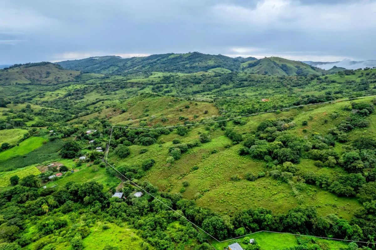 29 Ha Farm in Palmira Las Tablas Los Santos Panama