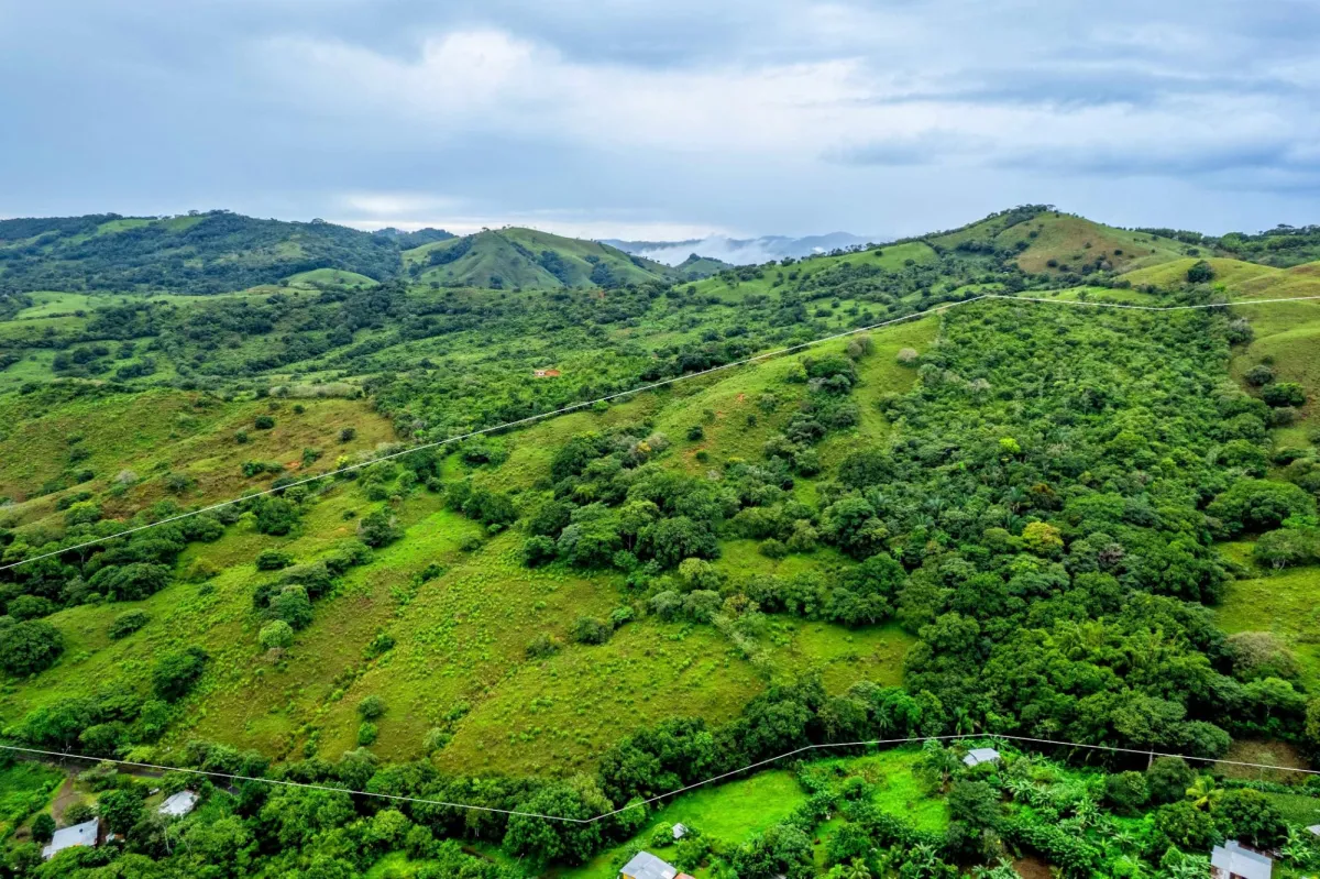 29 Ha Farm in Palmira Las Tablas Los Santos Panama