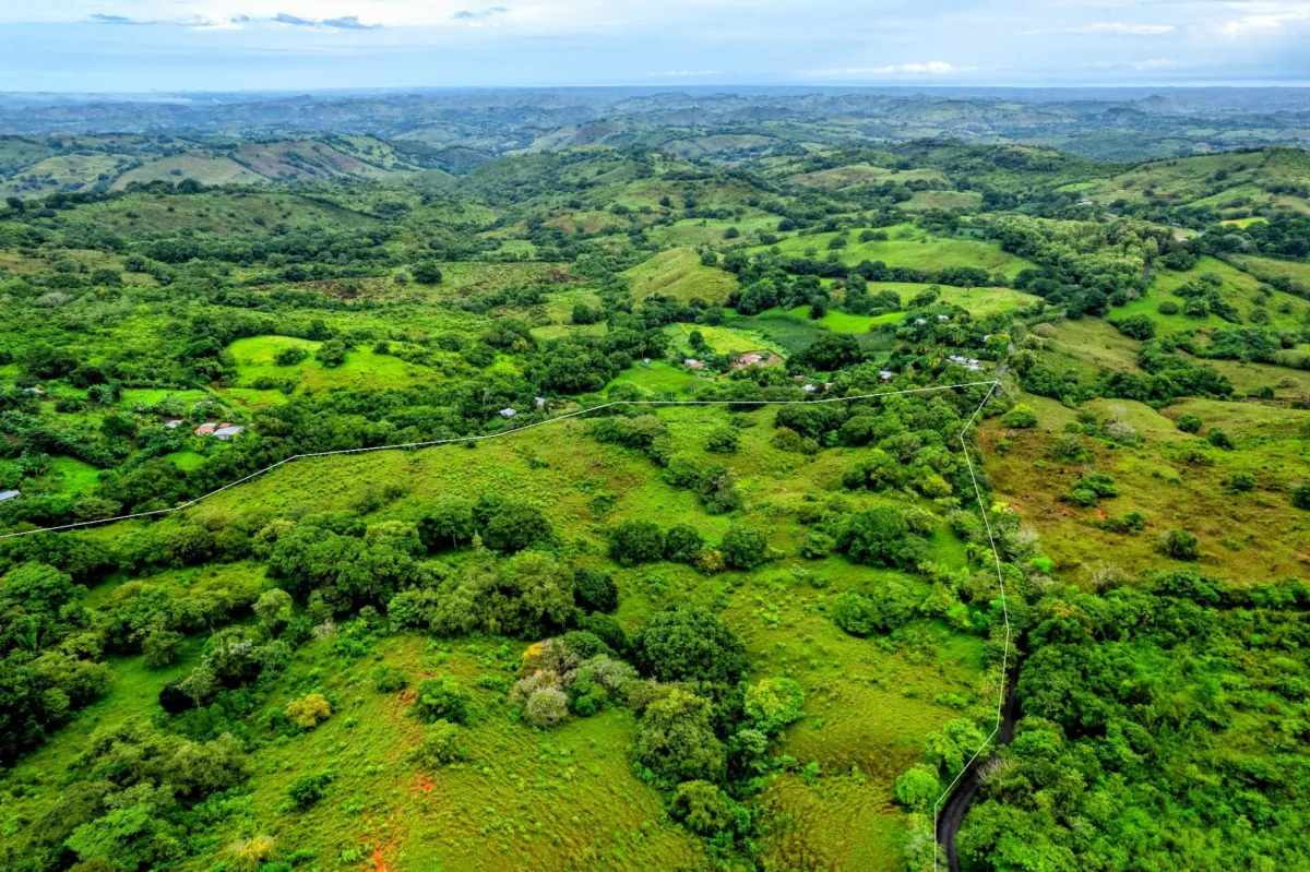 29 Ha Farm in Palmira Las Tablas Los Santos Panama