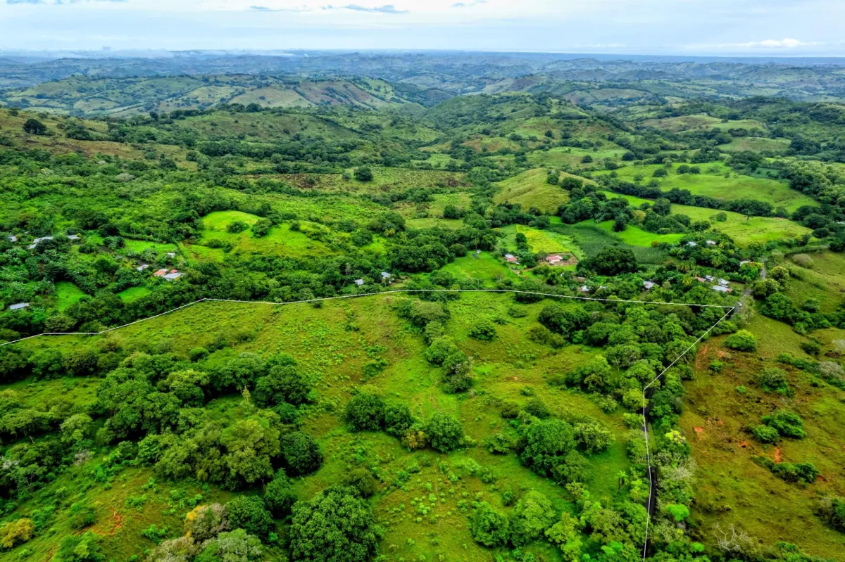 29 Ha Farm in Palmira Las Tablas Los Santos Panama