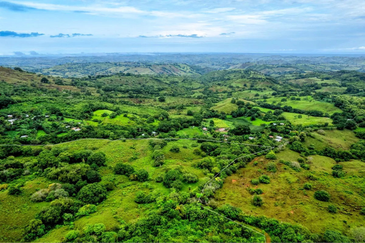 29 Ha Farm in Palmira Las Tablas Los Santos Panama