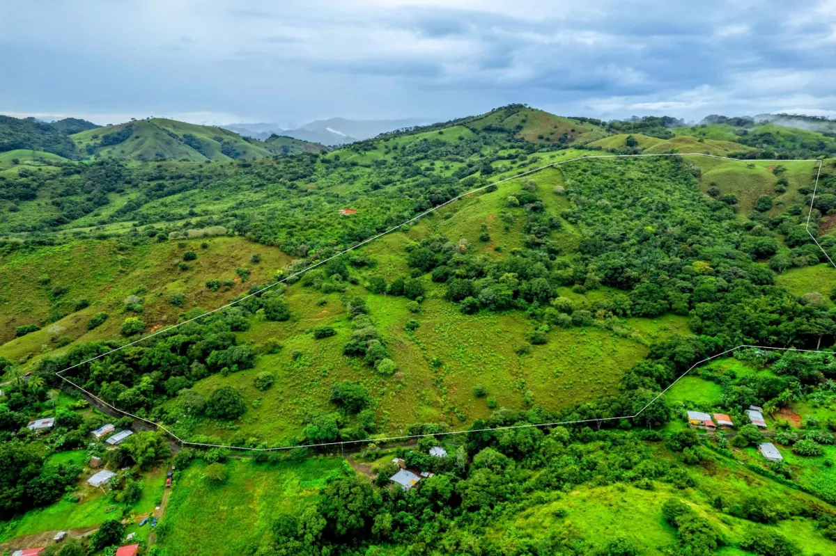 29 Ha Farm in Palmira Las Tablas Los Santos Panama