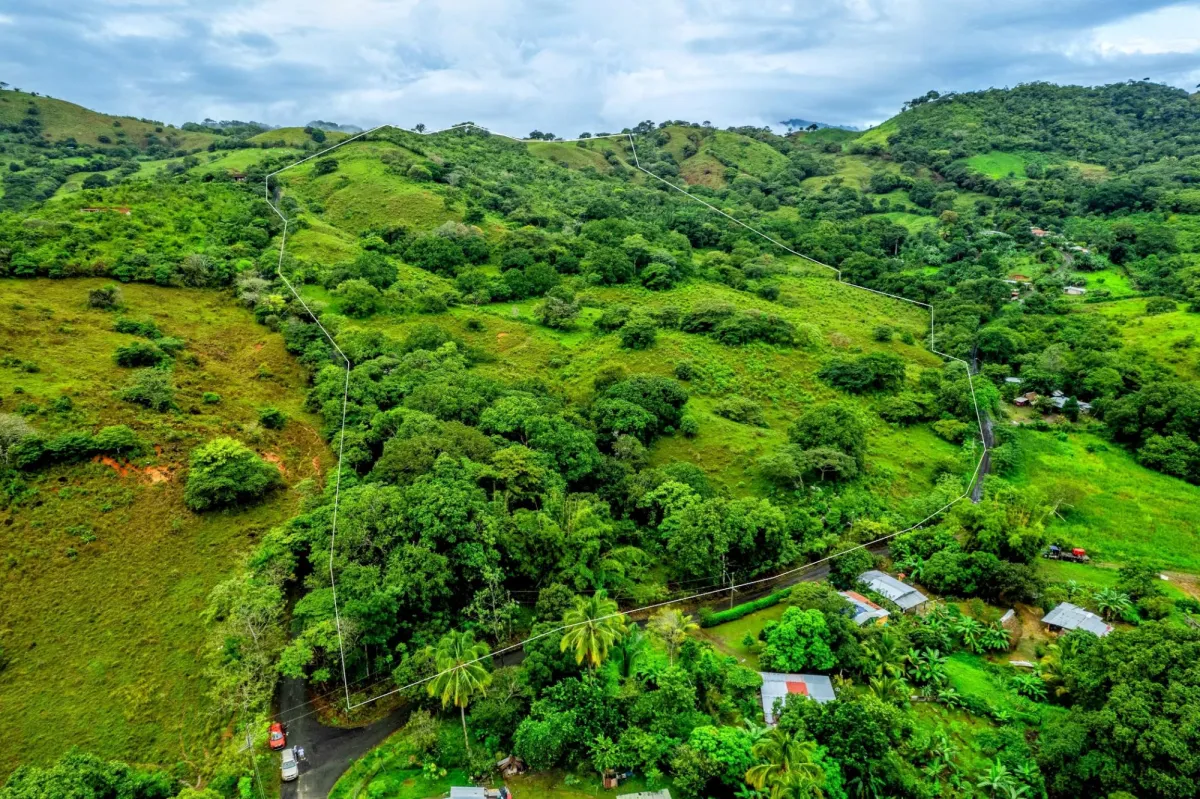 29 Ha Farm in Palmira Las Tablas Los Santos Panama