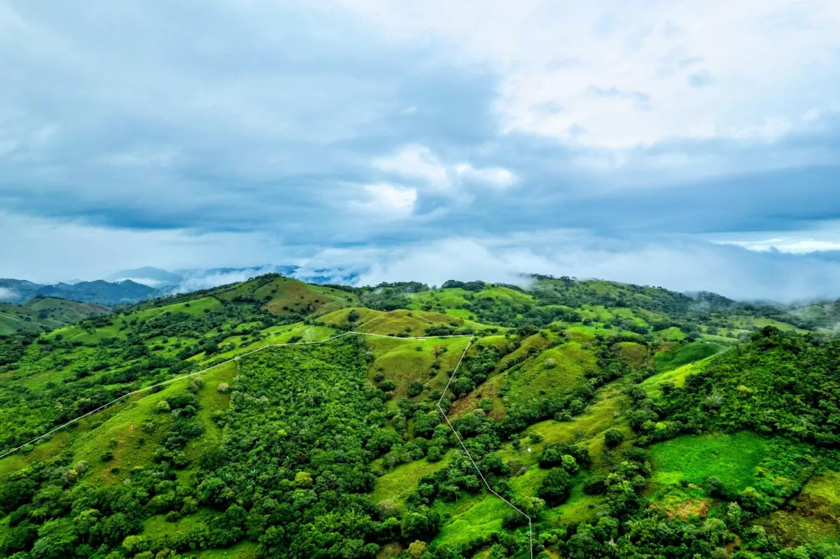 29 Ha Farm in Palmira Las Tablas Los Santos Panama