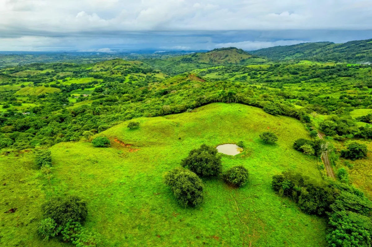 29 Ha Farm in Palmira Las Tablas Los Santos Panama