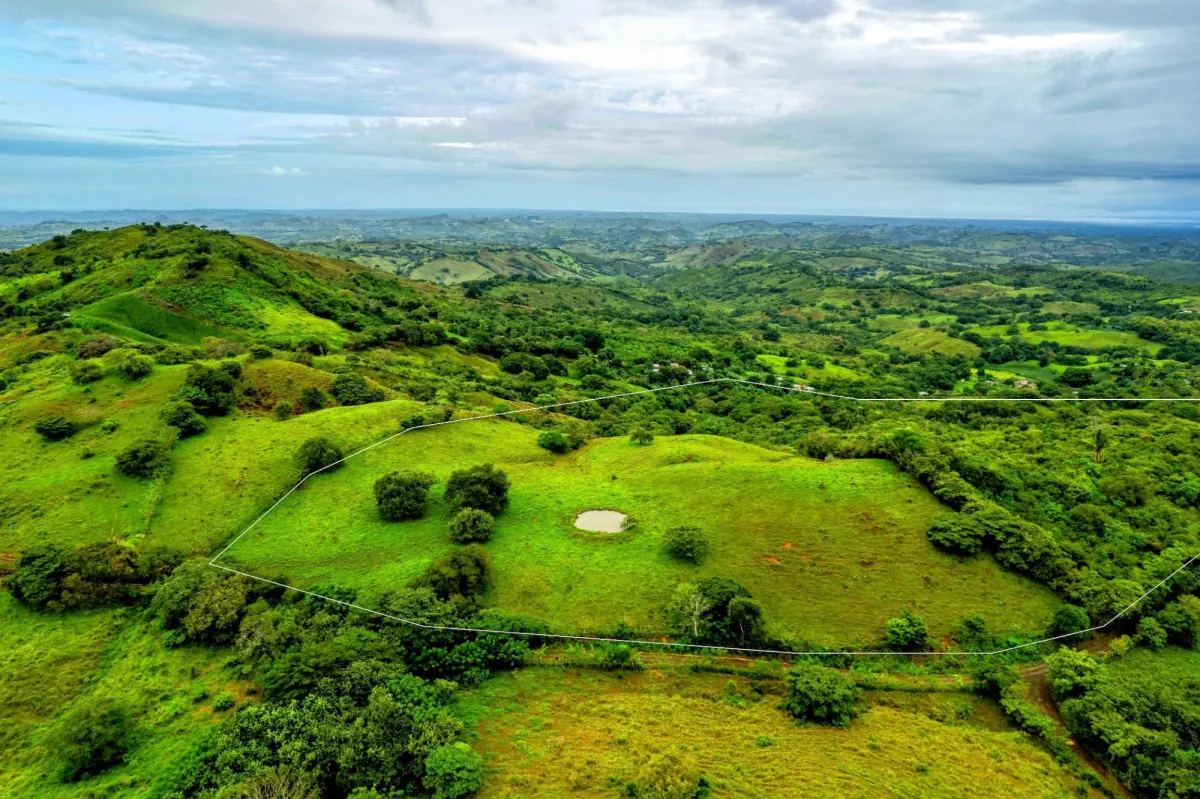 29 Ha Farm in Palmira Las Tablas Los Santos Panama