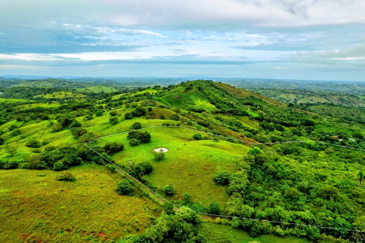 29 Ha Farm in Palmira Las Tablas Los Santos Panama