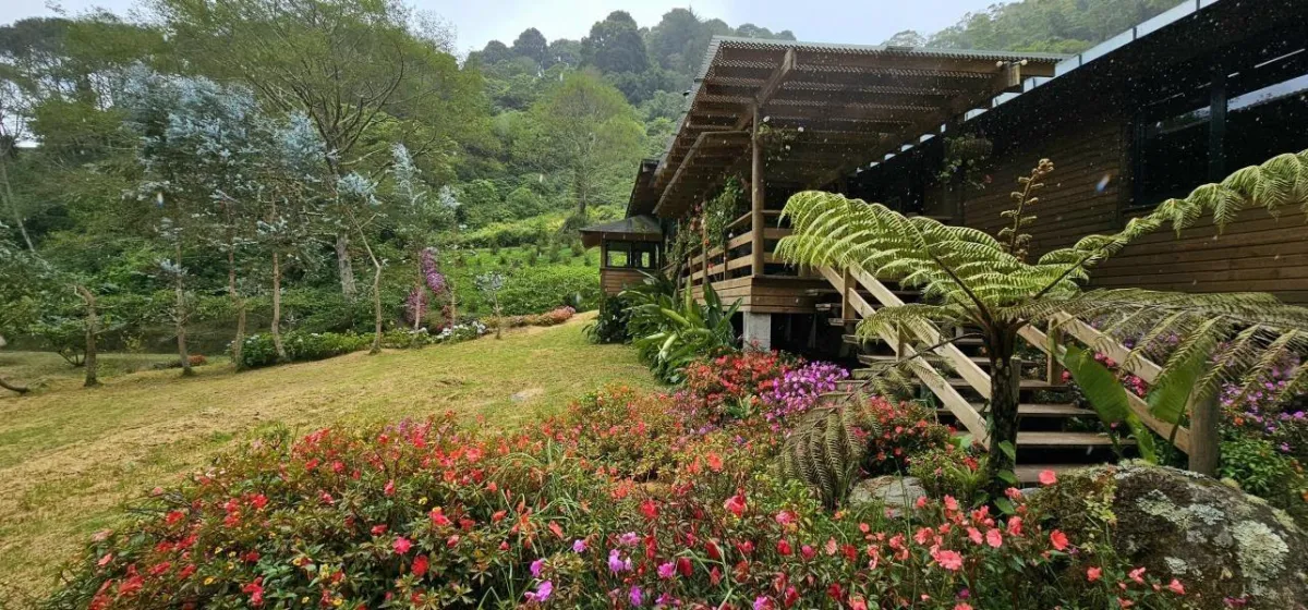 Exquisite Dream Home in Cerro Punta