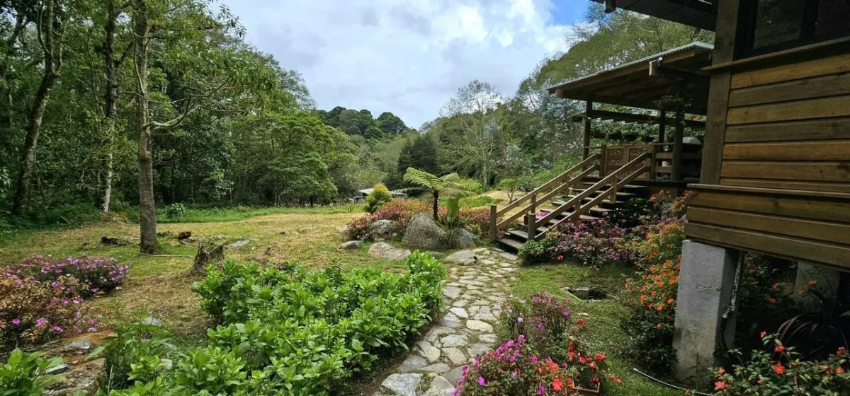 Exquisite Dream Home in Cerro Punta