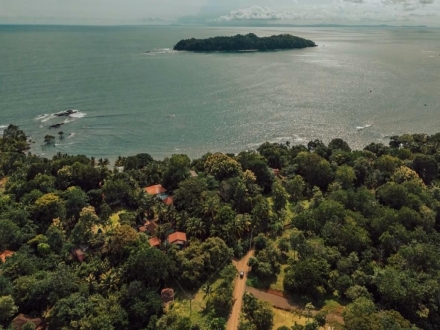 Famille mono parentale