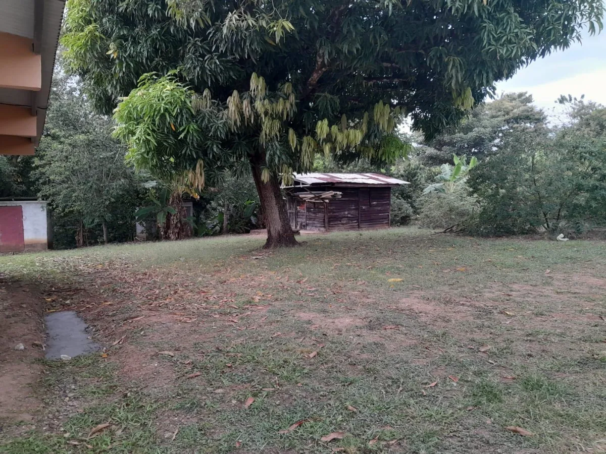 Sale of a property on the Inter-American Highway