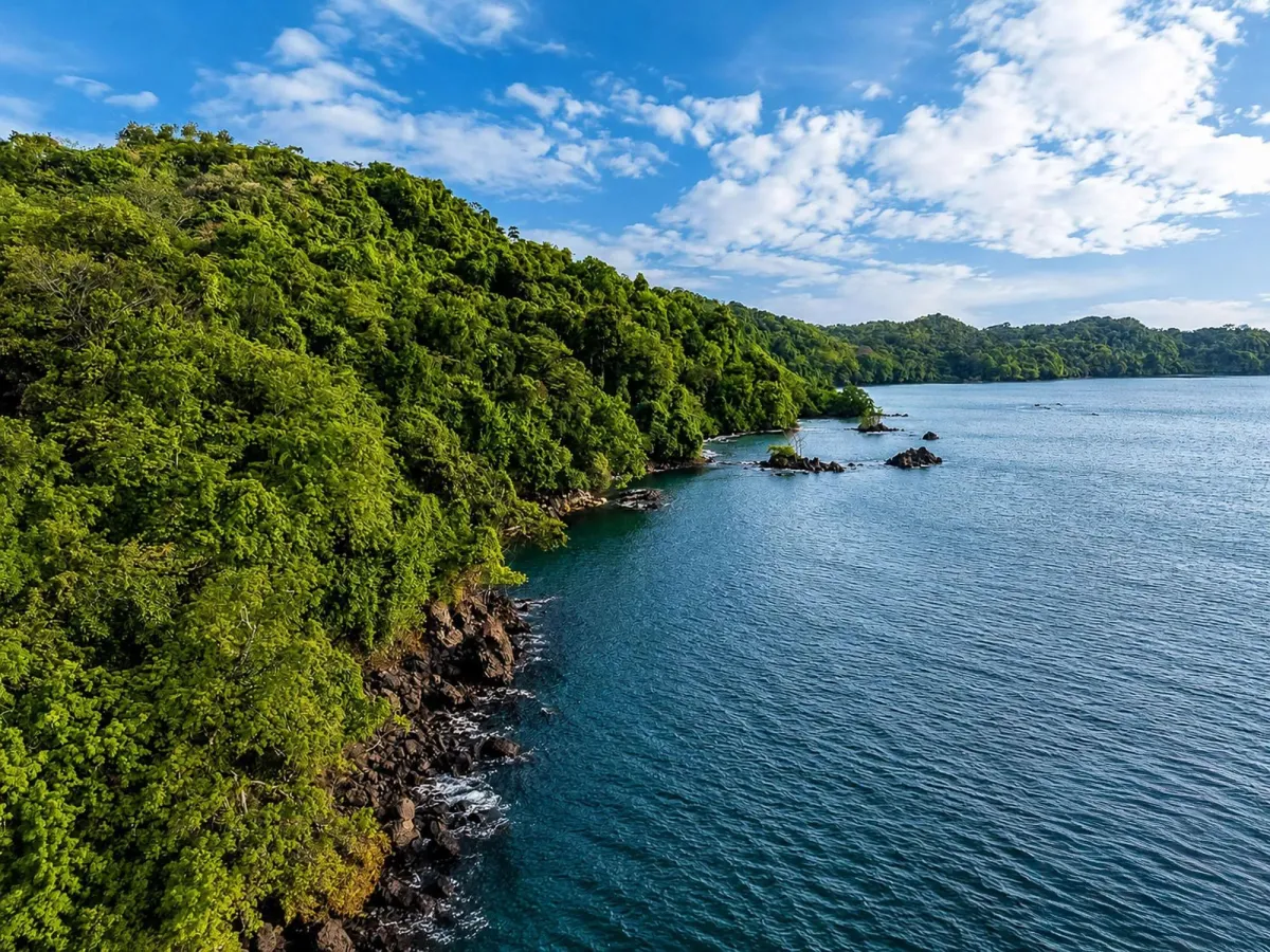 Santuario de 67 Hectáreas Frente al Mar en Arena, Veraguas