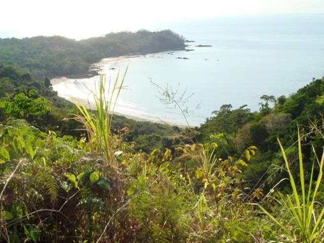Santuario de 67 Hectáreas Frente al Mar en Arena, Veraguas