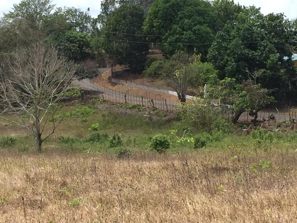 Venta de terreno en El Arado, La Chorrera