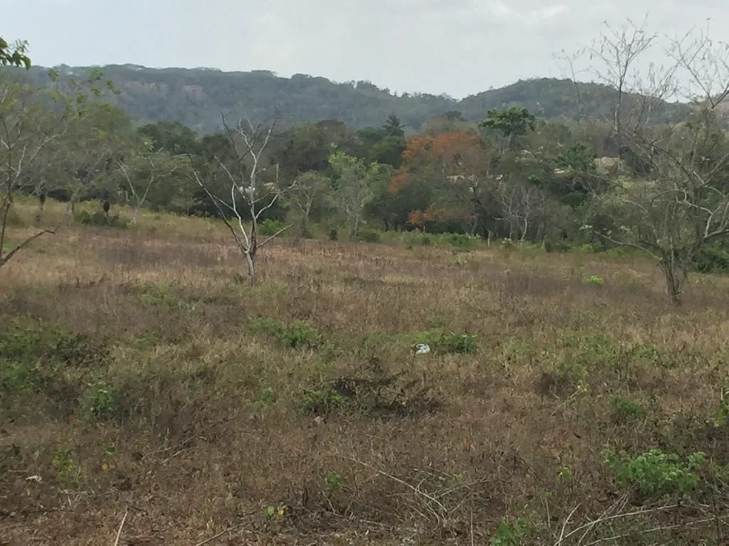 Venta de terreno en El Arado, La Chorrera