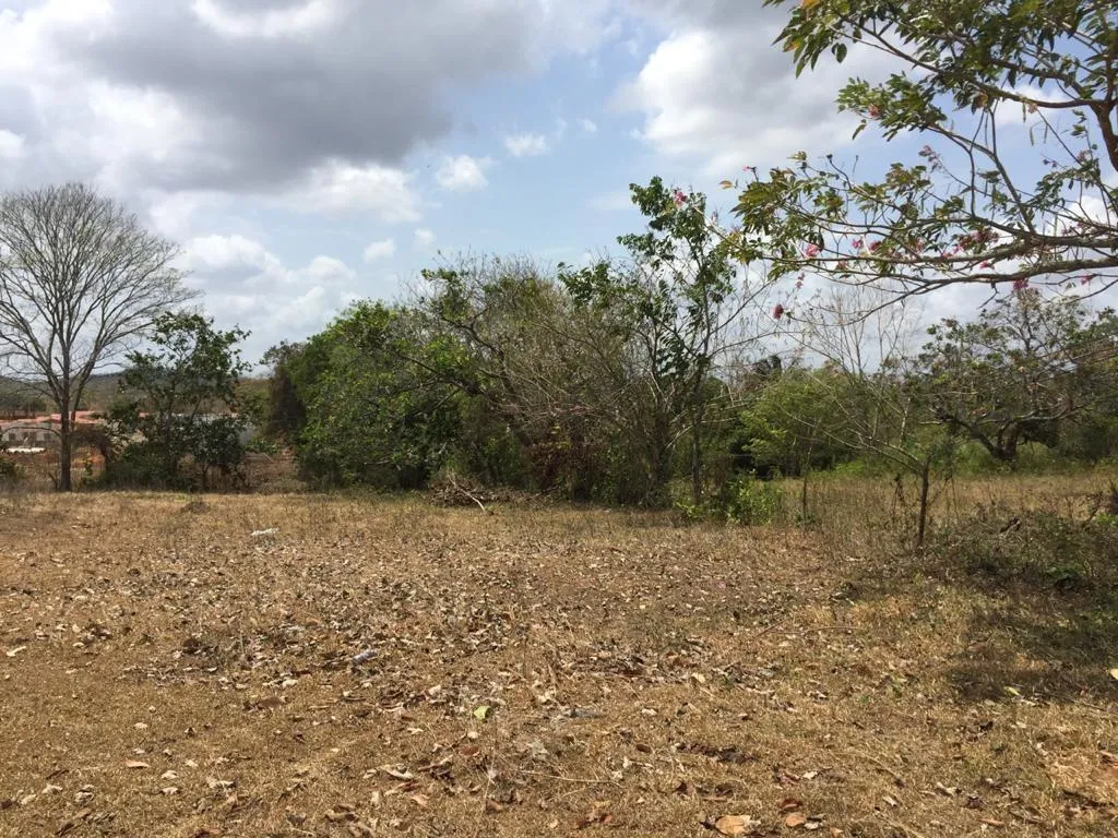 Venta de terreno en El Arado, La Chorrera