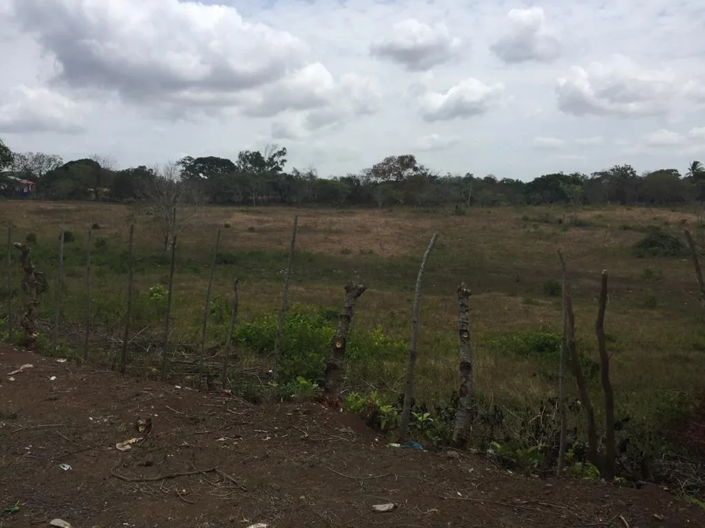 Venta de terreno en El Arado, La Chorrera