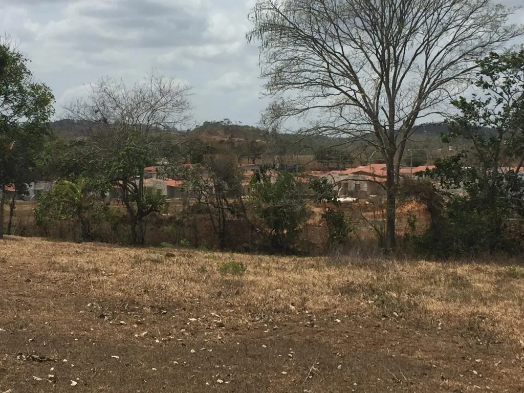 Venta de terreno en El Arado, La Chorrera