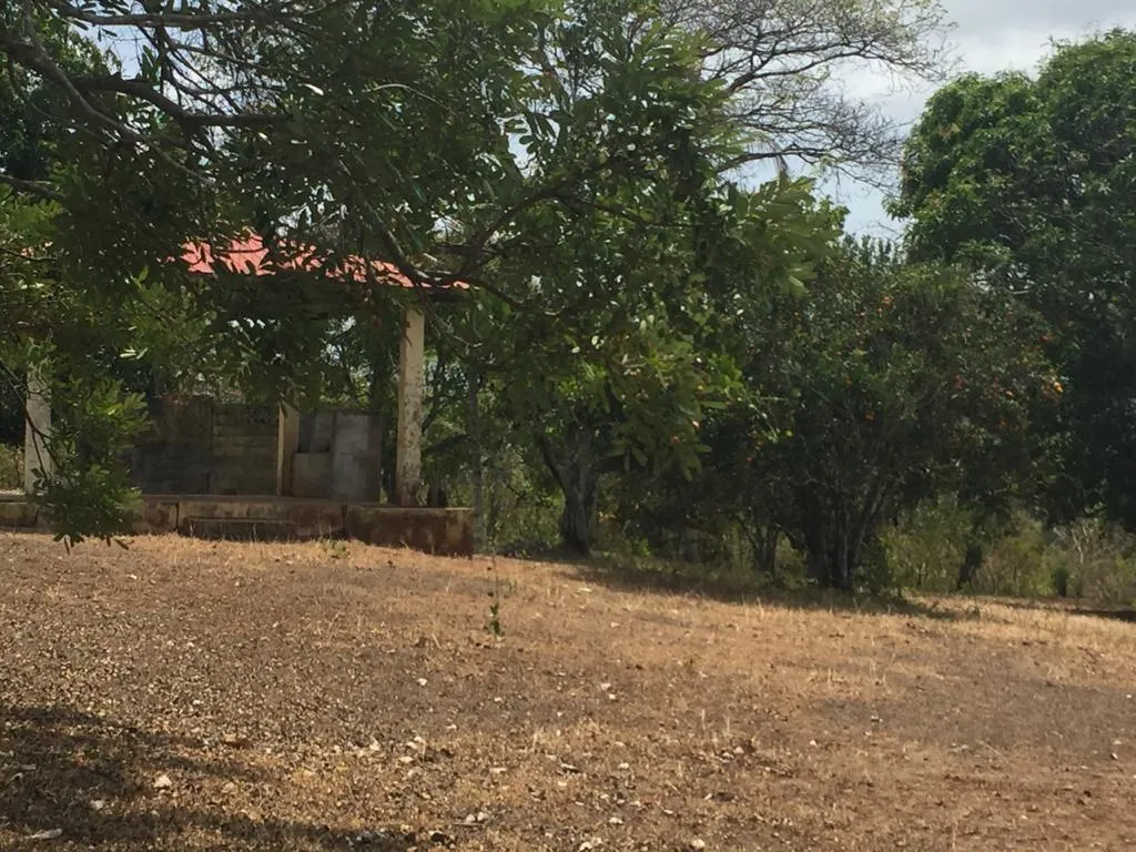 Venta de terreno en El Arado, La Chorrera