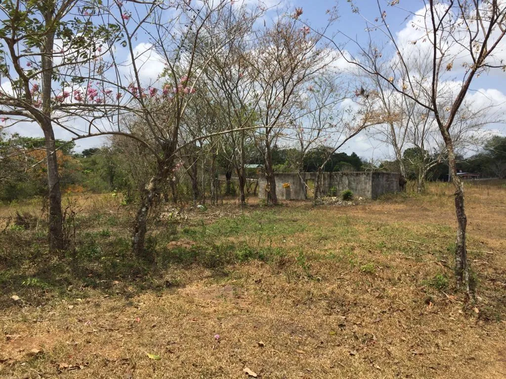 Venta de terreno en El Arado, La Chorrera