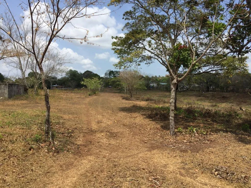 Venta de terreno en El Arado, La Chorrera