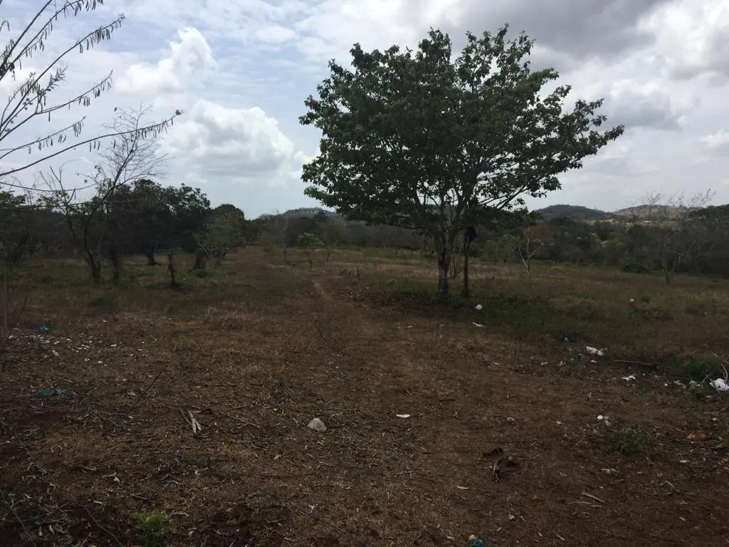 Venta de terreno en El Arado, La Chorrera