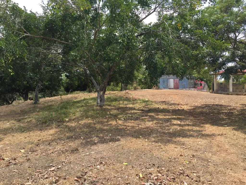 Venta de terreno en El Arado, La Chorrera