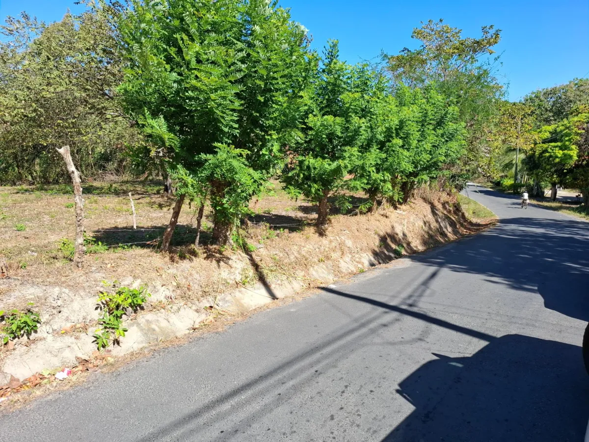 LAND FOR SALE/LAS UVAS DE SAN CARLOS