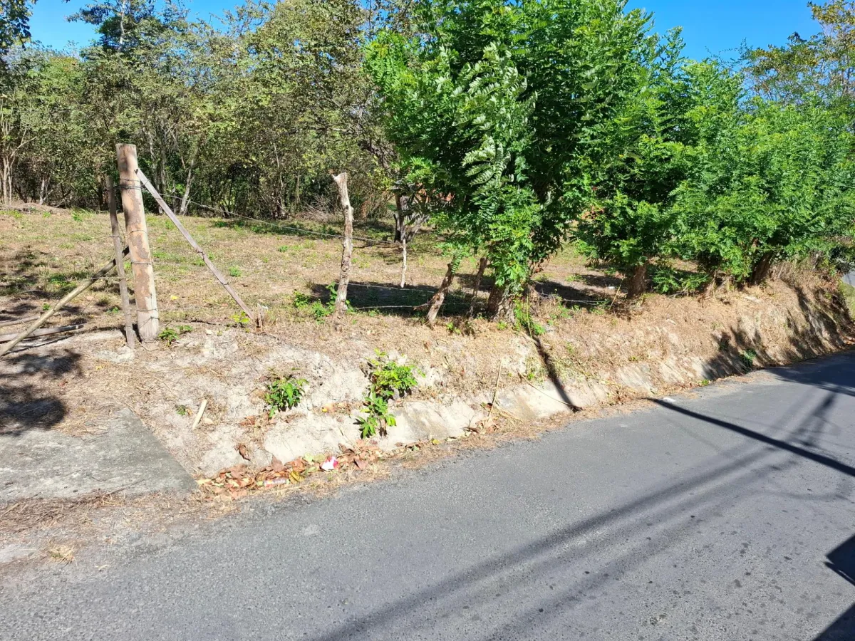 LAND FOR SALE/LAS UVAS DE SAN CARLOS