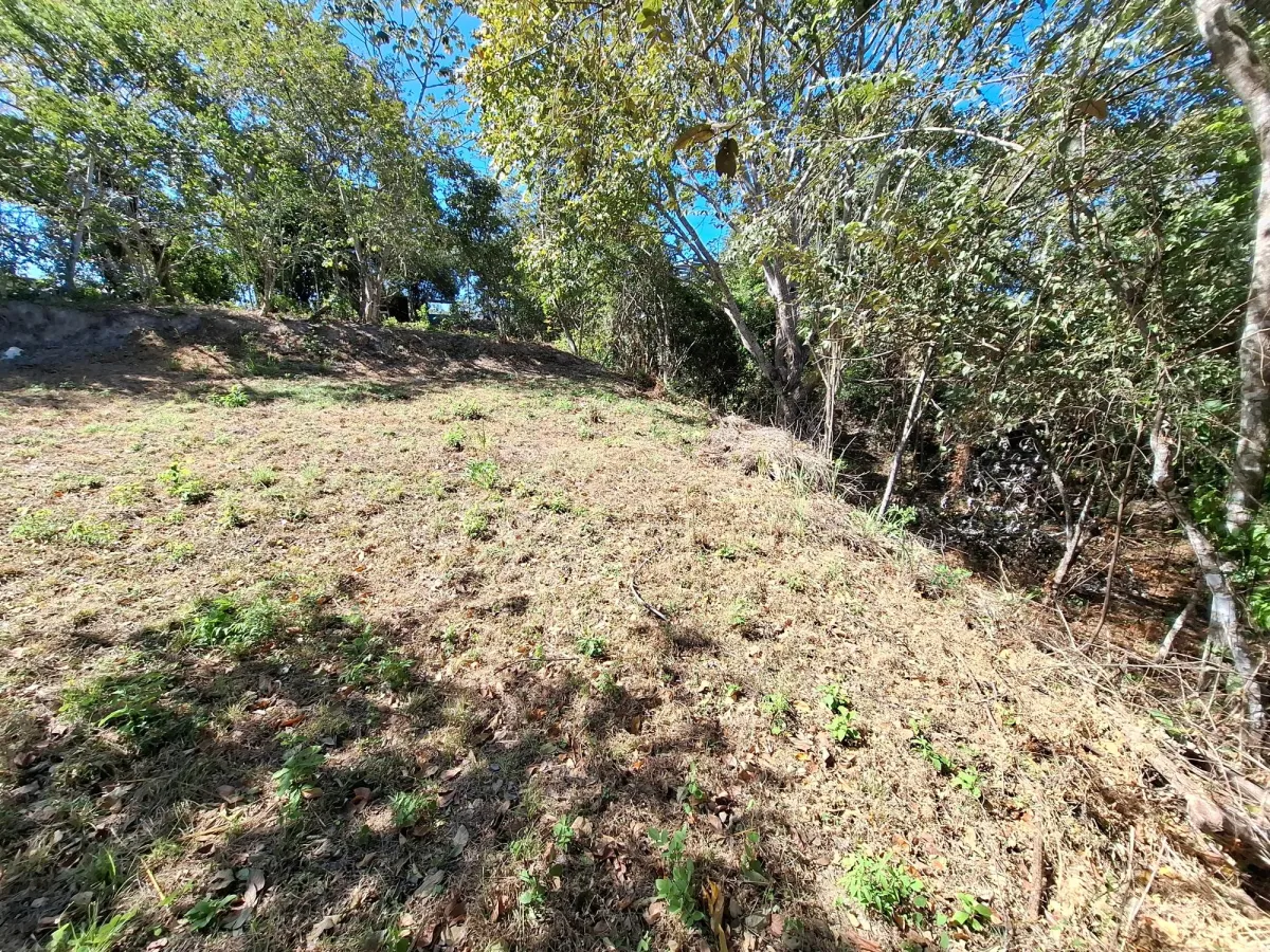 LAND FOR SALE/LAS UVAS DE SAN CARLOS