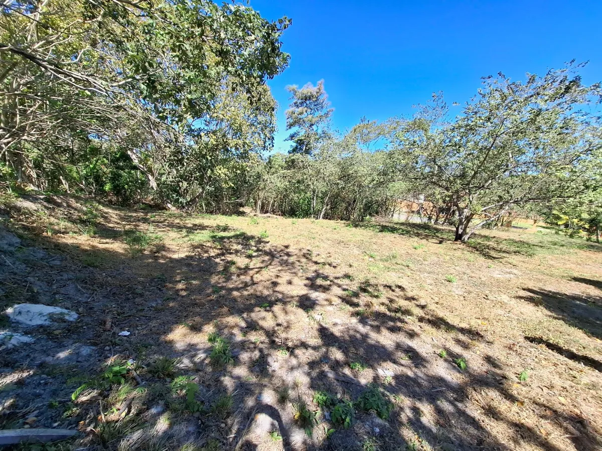 LAND FOR SALE/LAS UVAS DE SAN CARLOS