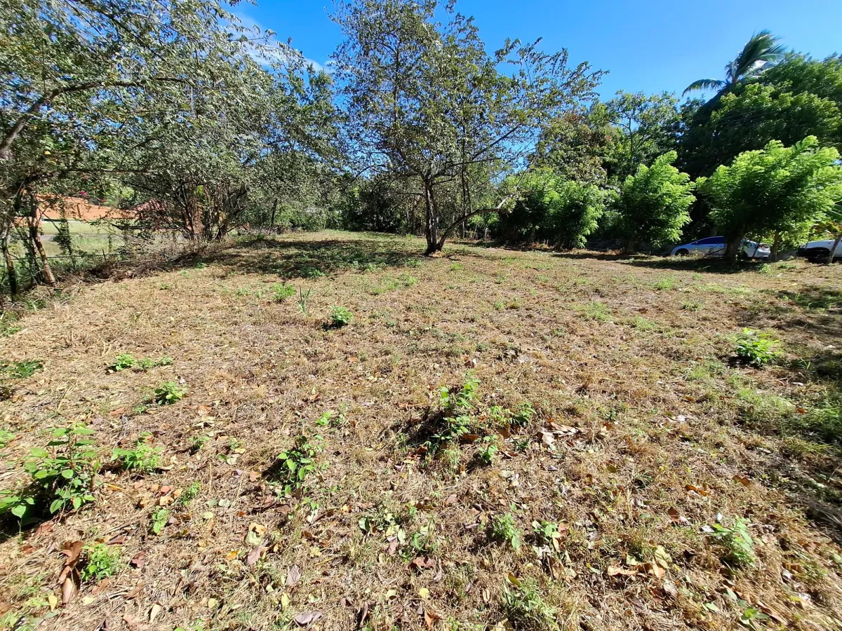 LAND FOR SALE/LAS UVAS DE SAN CARLOS