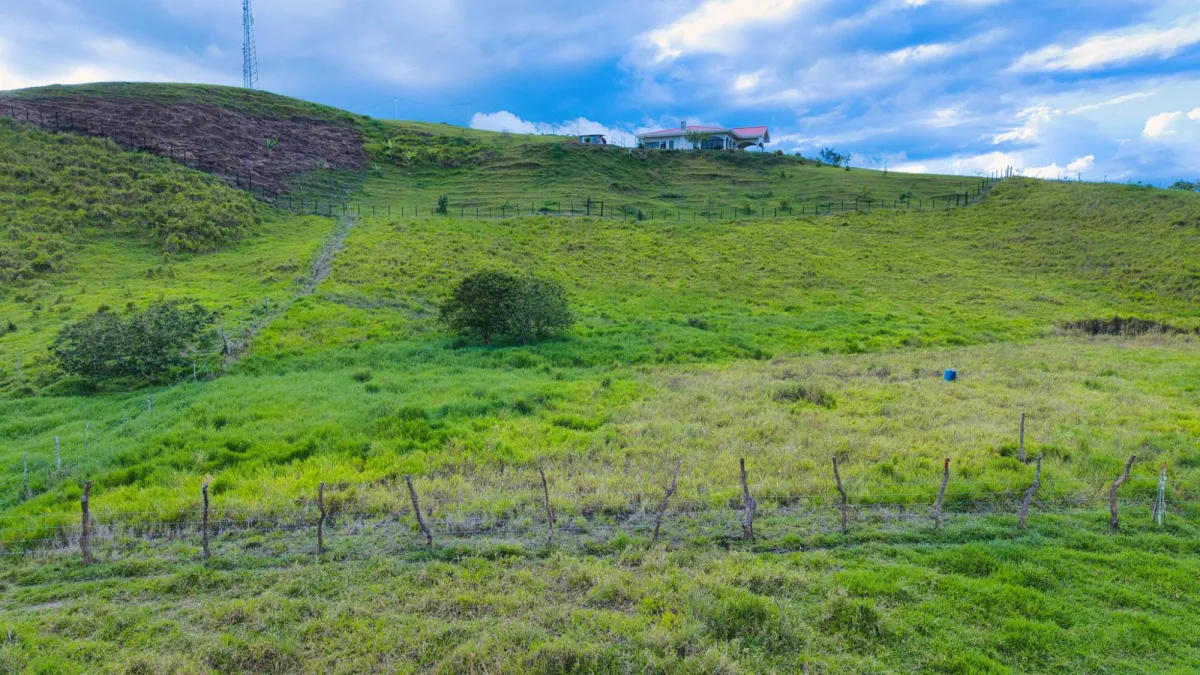 Lotes con Vista a la Montaña en Venta en Renacimiento, Santa Clara, Chiriqu