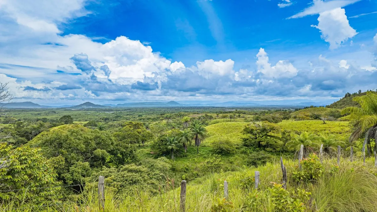 6-Hectare Hill Property for Sale in Boca Chica