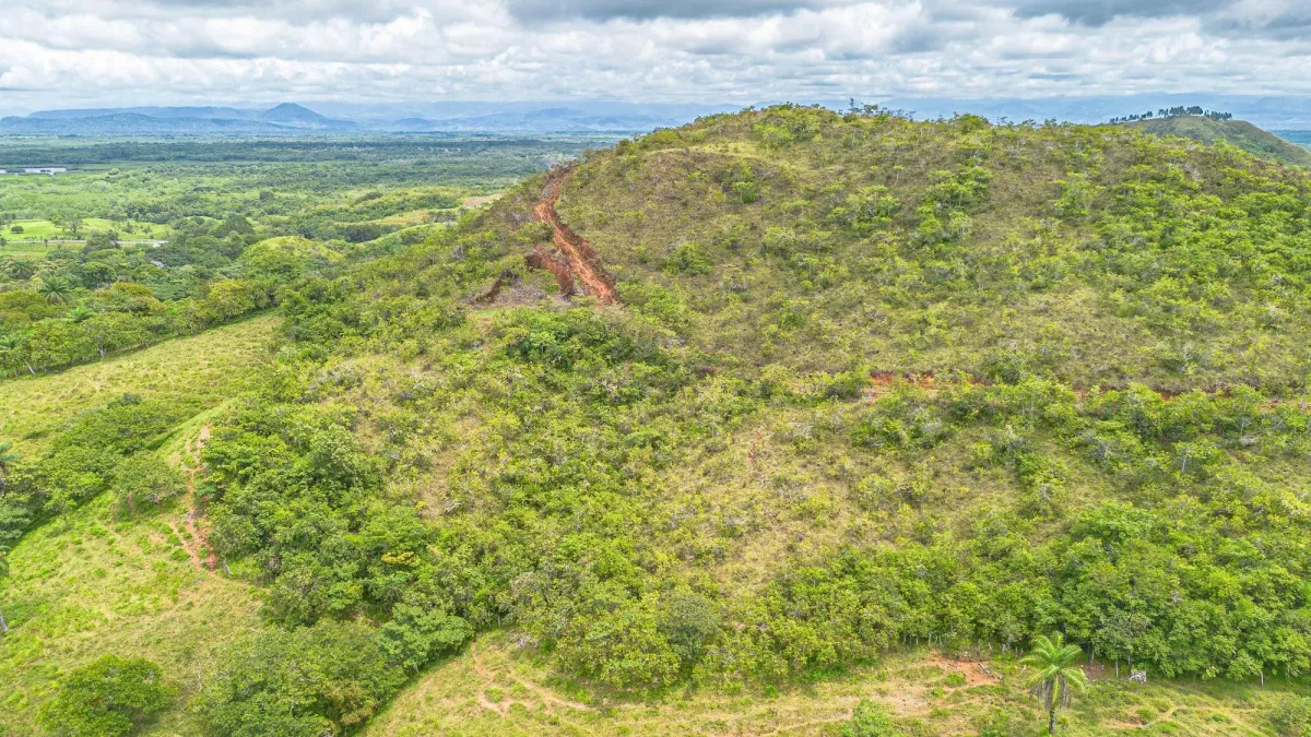 6-Hectare Hill Property for Sale in Boca Chica